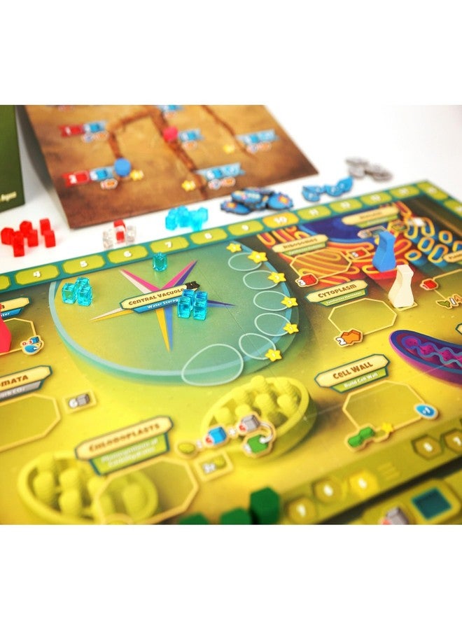 Genius Games Cellulose: A Plant Cell Biology Game | Mensa Recommended Strategic & Entertaining Game to Learn Photosynthesis, DNA & Biochemistry | Educational STEM Board Game for Families, Students & Teachers - Image 2